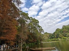-深圳仙湖植物园
