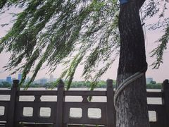 -济南大明湖景区