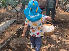 -马陆小张葡萄园农家乐