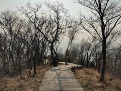 -帽儿山国家森林公园