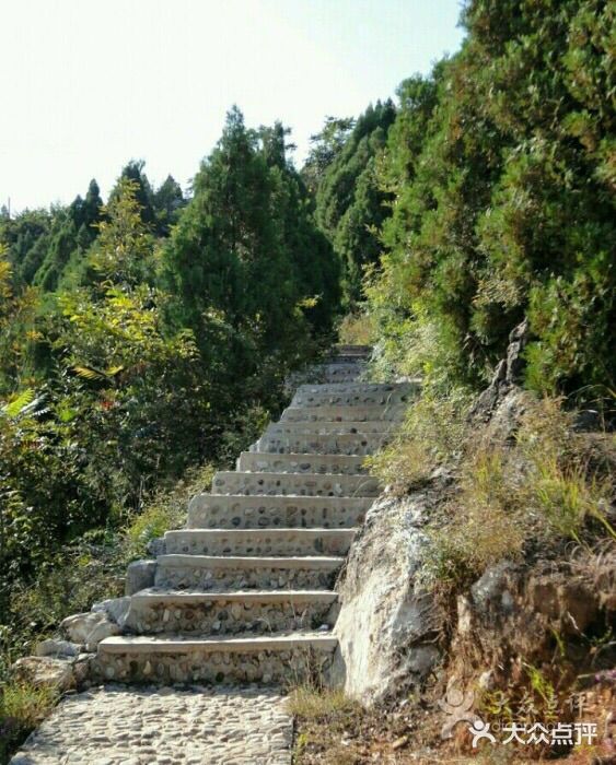 府君山公園圖片