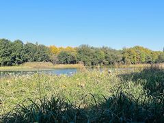 -一江春水·杭帮臻宴(三台山店)