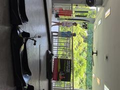 -圣淘沙天际线斜坡滑车