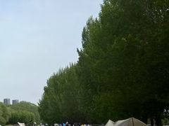 -长白岛森林公园