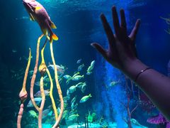 -沈阳海洋探索中心