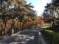 -长辛店二七公园