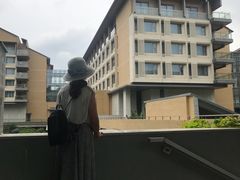景观位-南宁荔园维景国际酒店·荔园中餐厅