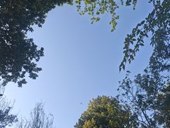-南山植物园