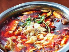-重庆火锅水库鱼庄(南油店)