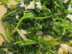 炒野菜-荣生萝卜汤饭店