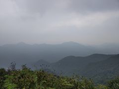 -北仑森林植物园