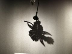 -上海当代艺术博物馆