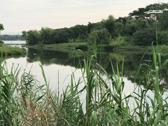 -飞来湖湿地公园