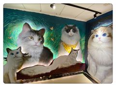 -猫腻·猫咖·撸猫馆(星光大道店)