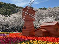 -苏州上方山国家森林公园