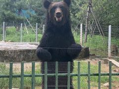 -秦皇岛野生动物园