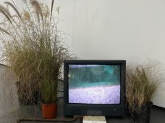 -上海外滩美术馆
