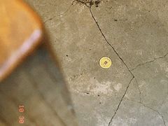 -锅儿挑面馆