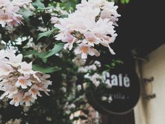 cafe&nbsp;villa-Cafe Villa