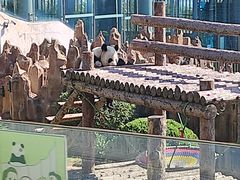 -大连森林动物园