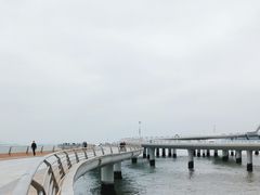 -演武大桥观景平台