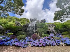 -上海鲜花港