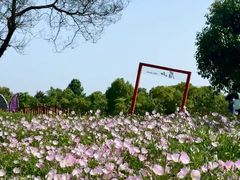 -眉山湿地公园(东坡区)