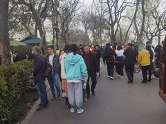 -杭州君悦酒店