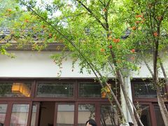 -西园寺素食(西园弄戒幢律寺店)