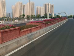 -星光岛