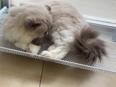 -美迦爱-牙专科·兔科·骨科诊疗中心(北苑店)