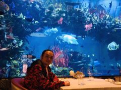 -迪拜帆船酒店海底餐厅