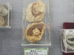 -北京中医药大学-中医药博物馆