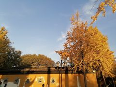 -西园戒幢律寺
