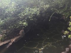 -昆明柏联SPA温泉