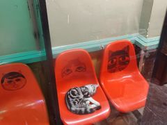 -猫咪博物馆(顶澳仔猫街店)