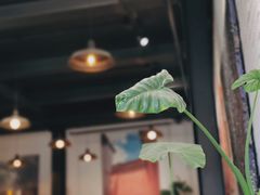 -Tian品