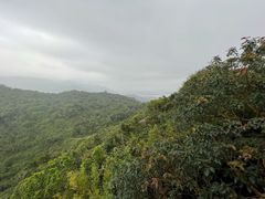 -三亚亚龙湾人间天堂鸟巢度假村