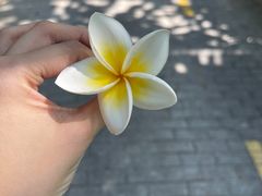 -三亚亚龙湾铂尔曼别墅度假酒店