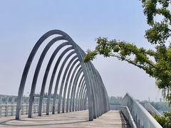 -大兴滨河森林公园