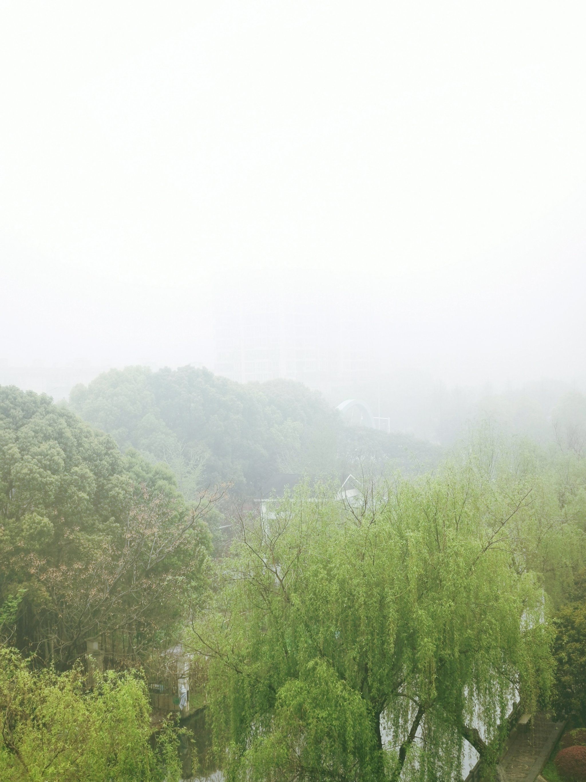 这才是江南的烟雨蒙蒙