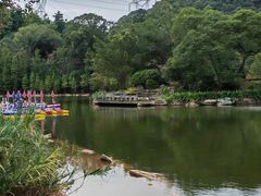 -广州市帽峰山景区