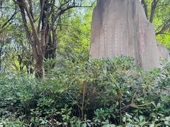 -鹦鹉寺公园