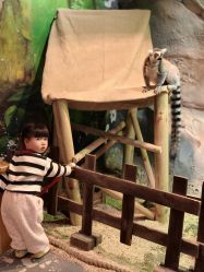 -Zoolung Zoolung动物主题公园(海信广场店)