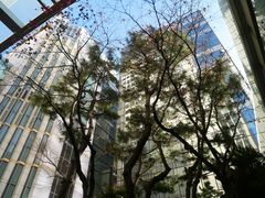 -乐天免税店(明洞店)