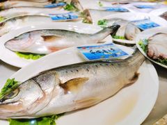 -韩记海鲜饺子(隆仁世家店)