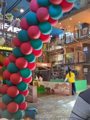 -卡通尼·Safari非洲探索乐园·生日会(金桥国际商业广场店)