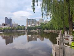 -文瀛公园