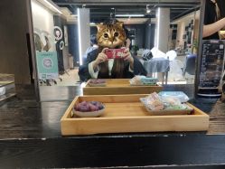 -苑苑发型设计
