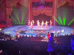 -珠海横琴长隆《卡卡虎奇遇记》